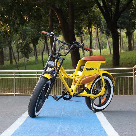 Joyracer 48V 17Ah Electric Bike for Adults,20” Fat Tires 700W 7-Speed Off-road Bicycle, Max Load 330lbs, With air pump-HD