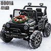 315 24 volt ride on toys